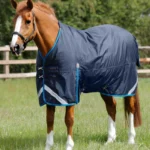 Titan-450-Original-Turnout-Rug-Navy-1_1600x