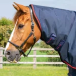 Buster-250-Turnout-Rug-Navy-Neck_768x