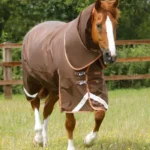 Titan-300-Turnout-Rug-Brown-1_1600x